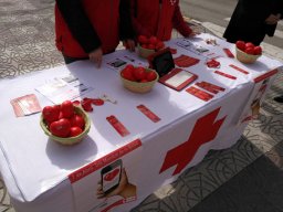 IMG_20180413_105122